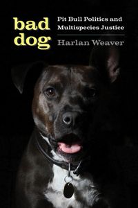 Produktbild: Bad Dog