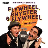Produktbild: FLYWHEEL SHYSTER & FLYWHEEL D