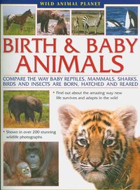 Produktbild: Chinery, M: Birth and Baby Animals