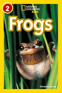 Produktbild: Frogs
