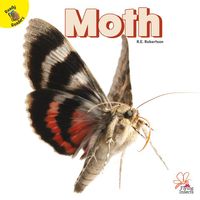 Produktbild: Moth