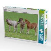 Produktbild: CALVENDO Puzzle Kleine Raufbolde | 1000 Teile Lege-Gr&ouml;&szlig;e 64x48cm Foto-Puzzle f&uuml;r gl&uuml;ckliche Stunden