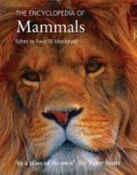 Produktbild: Encyclopedia of Mammals