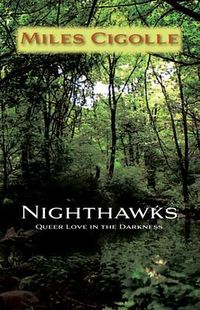 Produktbild: Nighthawks