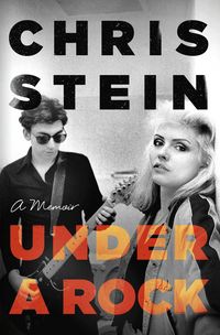 Produktbild: Stein, C: Under A Rock