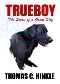 Produktbild: Trueboy