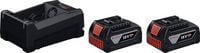 Produktbild: Bosch Professional 1.600.A03.CH1 2xGBA18V 5.0Ah; GAL12V/18 Werkzeug-Akku 18V