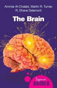 Produktbild: The Brain
