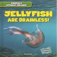 Produktbild: Jellyfish Are Brainless