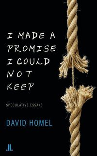 Produktbild: I Made a Promise I Could Not Keep