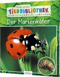 Produktbild: Meine gro&szlig;e Tierbibliothek: Der Marienk&auml;fer