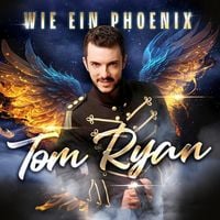 Produktbild: Wie Ein Phoenix