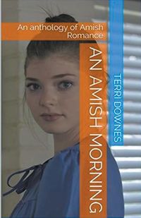 Produktbild: An Amish Morning