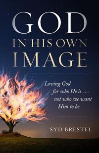 Produktbild: God in His Own Image