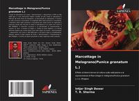 Produktbild: Marcottage in Melograno(Punica granatum L.)