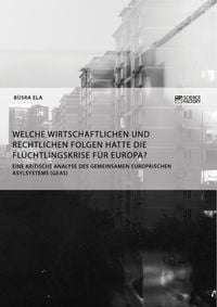 Bild vom Artikel Welche wirtschaftlichen und rechtlichen Folgen hatte die Flüchtlingskrise für Europa? vom Autor Büsra Ela