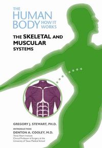 Produktbild: Stewart, G:  The Skeletal and Muscular Systems