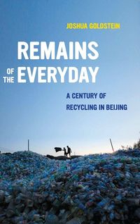 Produktbild: Remains of the Everyday