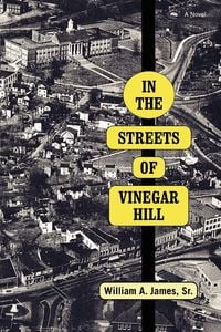 Produktbild: In The Streets Of Vinegar Hill