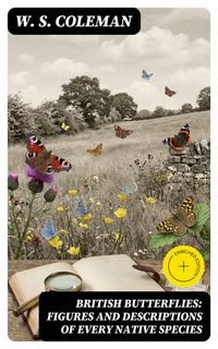 Produktbild: British Butterflies: Figures and Descriptions of Every Native Species