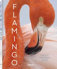 Bild vom Artikel Flamingo vom Autor Claudio Contreras Koob