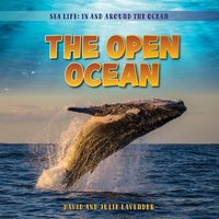 Produktbild: The Open Ocean