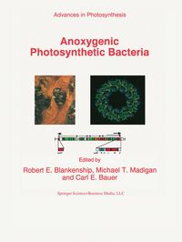 Produktbild: Anoxygenic Photosynthetic Bacteria