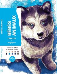 Produktbild: B&eacute;b&eacute;s animaux : cercles magiques