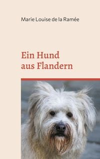 Produktbild: Ein Hund aus Flandern