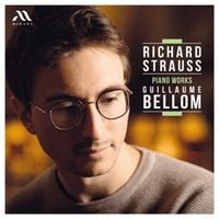 Produktbild: Richard Strauss - Piano Works