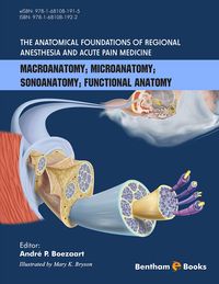 Produktbild: The Anatomical Foundations of Regional Anesthesia and Acute Pain Medicine