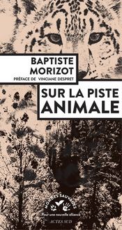 Produktbild: Sur la piste animale