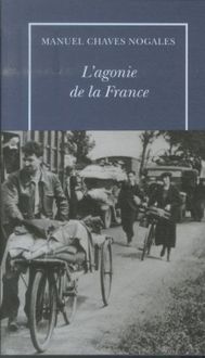 Produktbild: L'agonie de la France