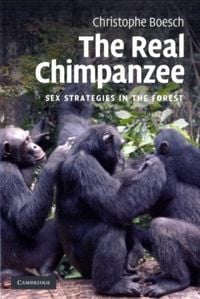 Produktbild: Real Chimpanzee