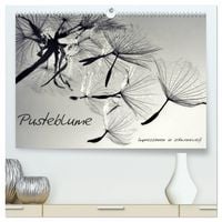 Produktbild: Pusteblume - Impressionen in schwarzwei&szlig; (hochwertiger Premium Wandkalender 2027 DIN A2 quer), Kunstdruck in Hochglanz