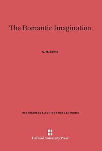 Produktbild: The Romantic Imagination