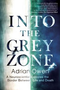 Produktbild: Owen, D: Into the Grey Zone