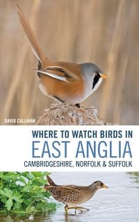 Produktbild: Where to Watch Birds in East Anglia