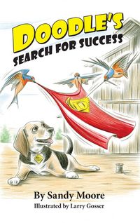 Produktbild: Doodle's Search for Success
