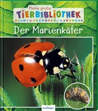 Bild vom Artikel Meine große Tierbibliothek: Der Marienkäfer vom Autor Valerie Tracqui