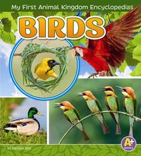 Produktbild: BIRDS