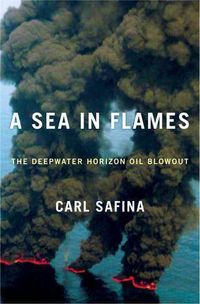 Produktbild: Sea in Flames