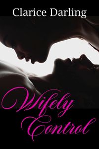Produktbild: Wifely Control