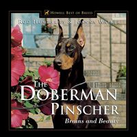 Produktbild: The Doberman Pinscher
