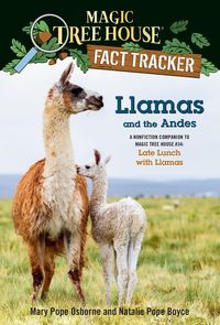 Produktbild: Llamas and the Andes
