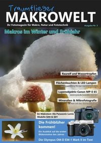 Produktbild: Traumflieger Makrowelt Ausgabe Nr. 3