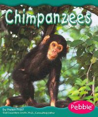 Produktbild: Chimpanzees