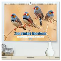 Produktbild: Zebrafinken Abenteuer (hochwertiger Premium Wandkalender 2027 DIN A2 quer), Kunstdruck in Hochglanz