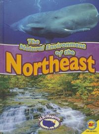 Produktbild: The Natural Environment of the Northeast