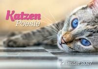 Produktbild: Katzenpoesie 2027